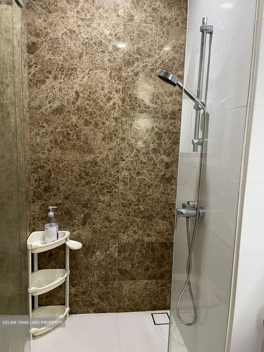 Eight Courtyards (D27), Condominium #387175711